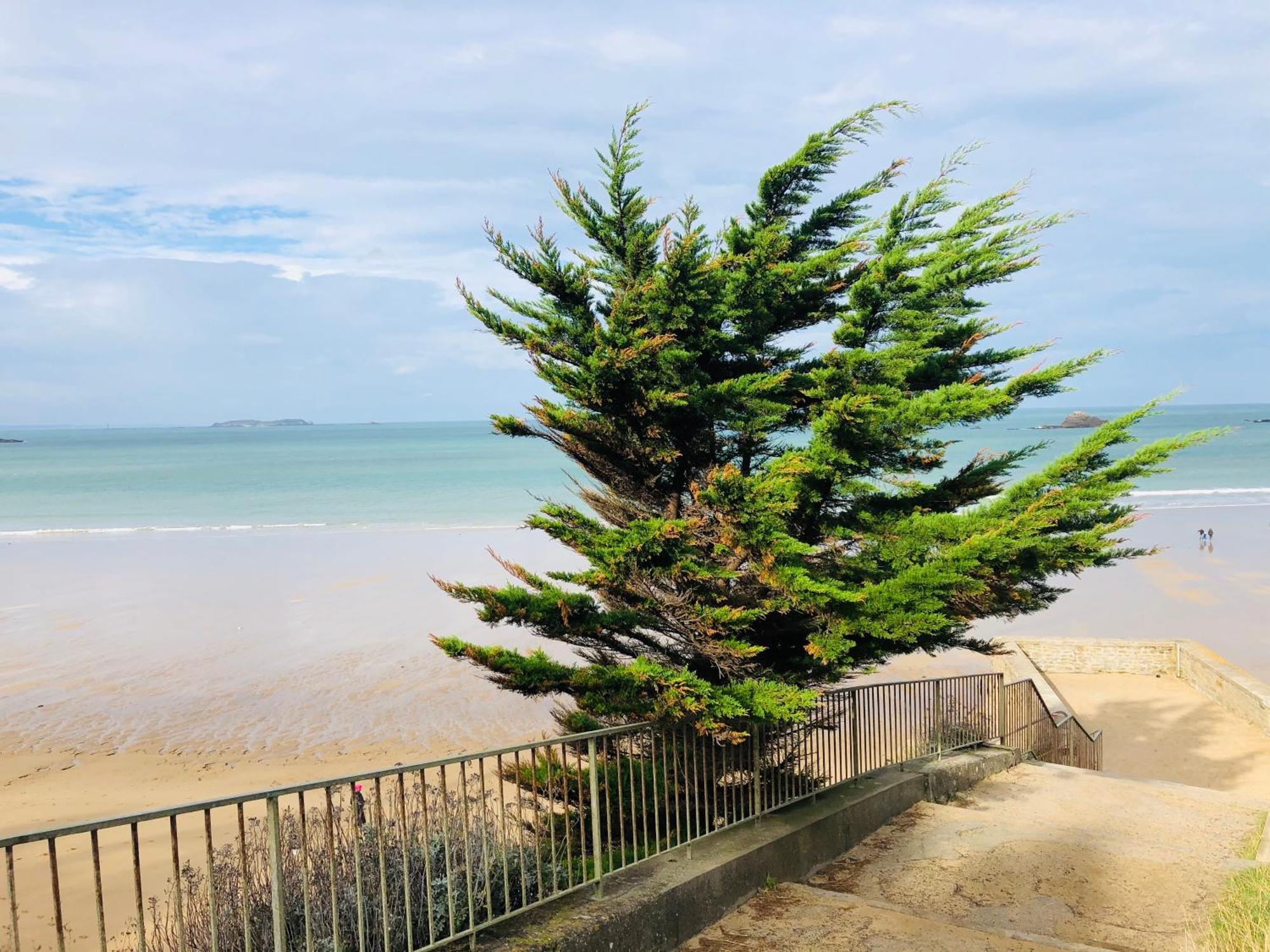 La Belle Melorienne Villa Saint-Meloir-des-Ondes Ngoại thất bức ảnh
